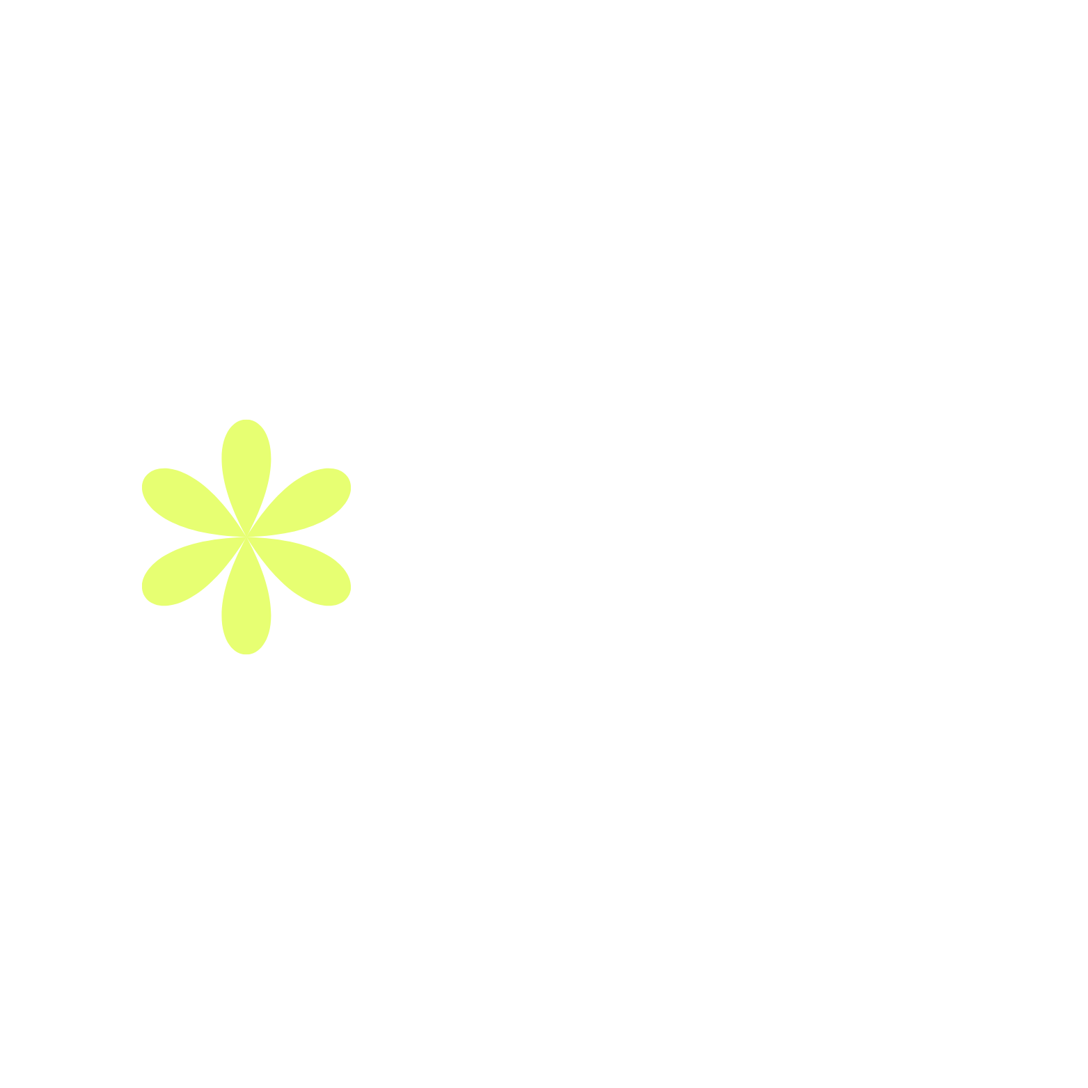 Webrise Agency